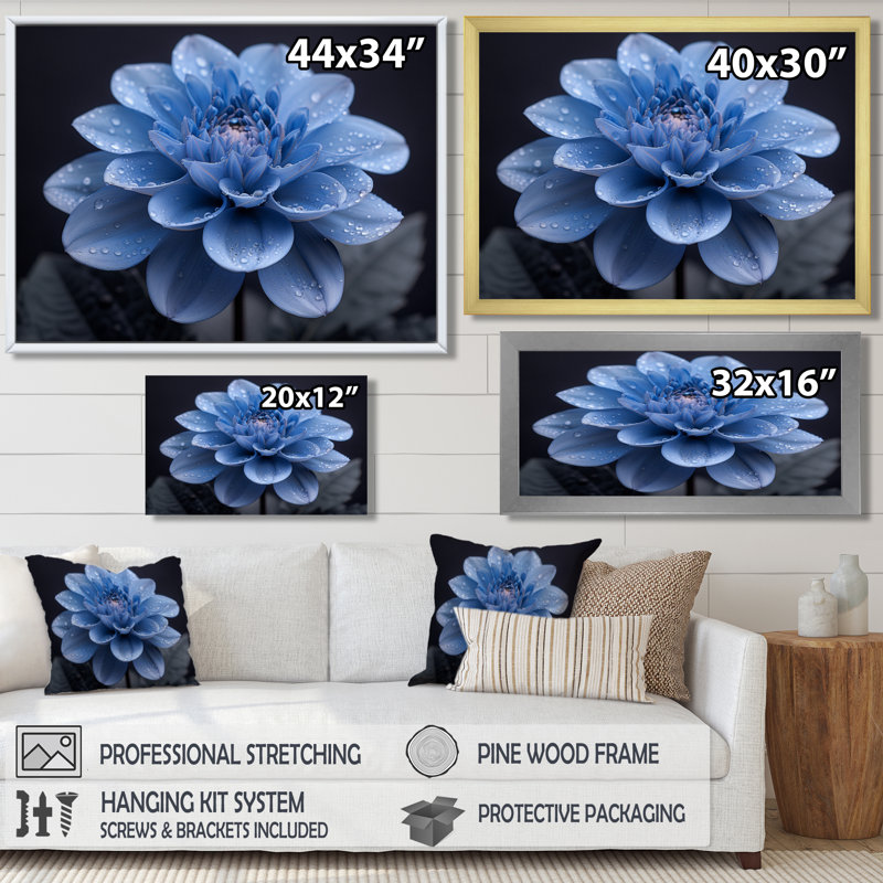 Monochromes noirs et bleus, fleurs de Dahlia - art mural Dahlia, H 12 po x l 20 po, Encadrement argenté