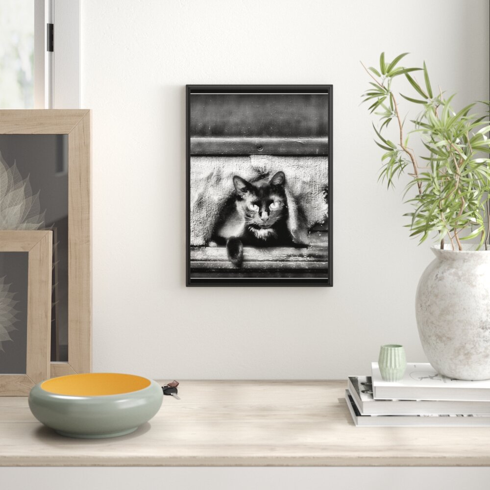 Gerahmtes Wandbild Katze