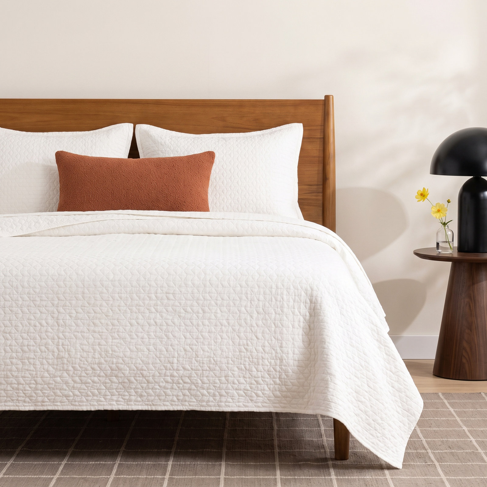 Aerin Cotton Shams