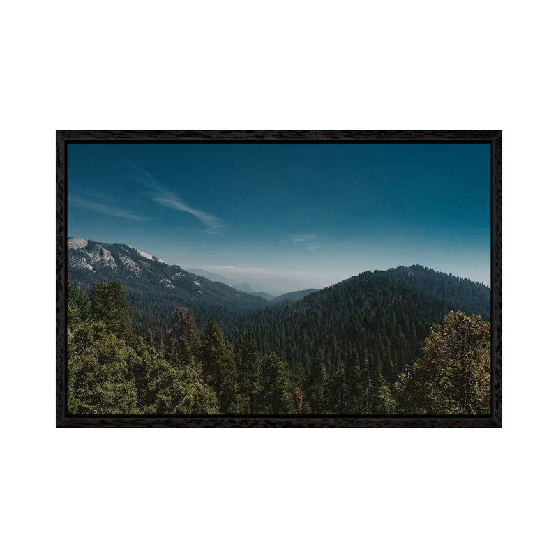 Sequoia National Park 1 Piece Wall Art on Canvas, 66.04cm H x 101.6cm W x 3.81cm D, Black Framed