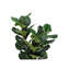 Plante artificielle