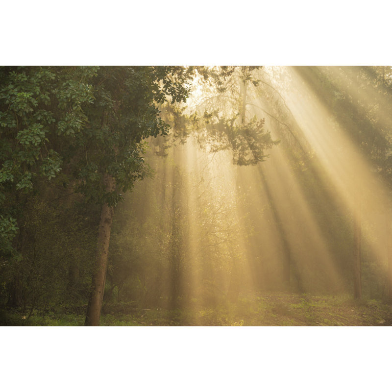 Wrapped Canvas Print, 50.8 cm H x 76.2 cm W