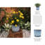 Modern Textured Ceramic Planter with Saucer-1936006852-1936006854