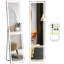 Adma Metal Rectangle Mirror