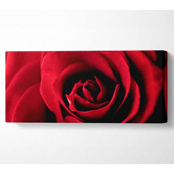 Ebern Designs Rose Petal Beauty Red - Wrapped Canvas Panoramic Art ...