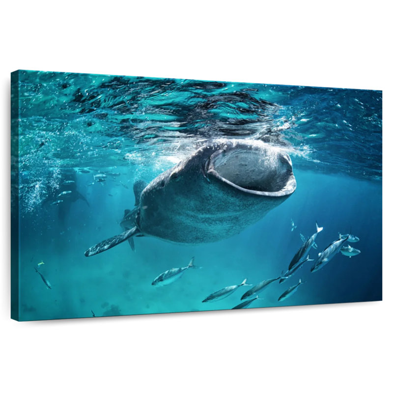 Brampt Gaping Whale Shark, 8" H x 12" W
