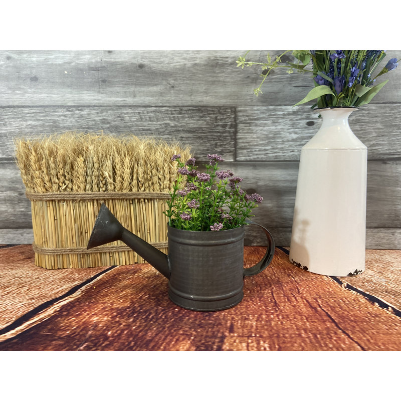 Mini Watering Can