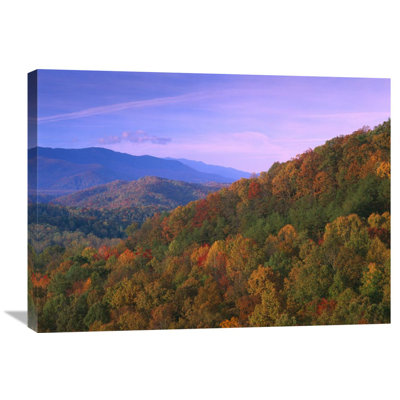 " Appalachian Mountains Ablaze With Fall Color, Great Smoky Mountains National Park, North Carolina " by Tim Fitzharris