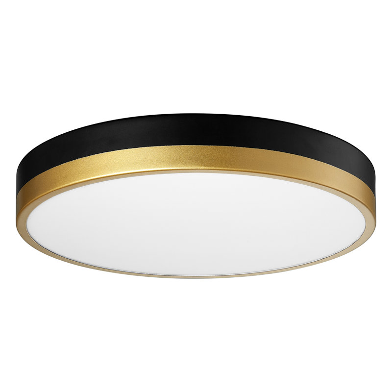 Hopeland Acrylic LED Flush Mount, Black