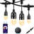 Custar Indoor 12 - Bulb 24'' LED Novelty String Light