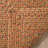 Woodlawn Hand Woven Cotton Solid Color Rug-22810482