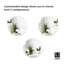 Miroir d'appoint