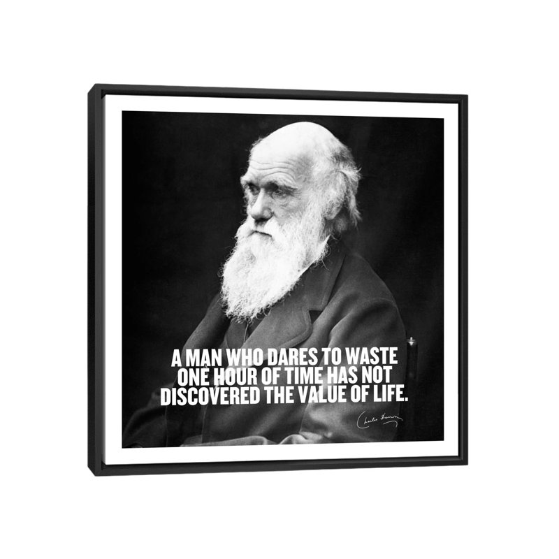 Citation de Charles Darwin, impression sur toile, H 18 po x l 18 po x P 1,5 po, Toile avec cadre noir, Pas de tapis