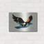 «I Believe I Can Fly» par Andy Westface-1446289986
