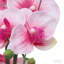 Faux Floral Arrangement-1276274910-1276274911