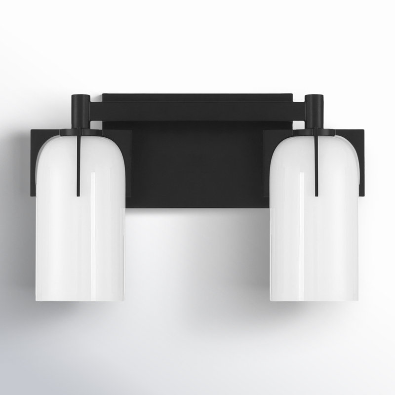 Irela 2-Light Vanity Light in Black, Black, 2 Lights, 8.5" H x 14.75" W x 14.75" D