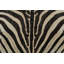 Modern Area Rug