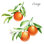 Oranges