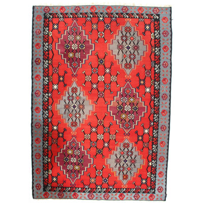 Doane Wool Southwestern Indoor Rug