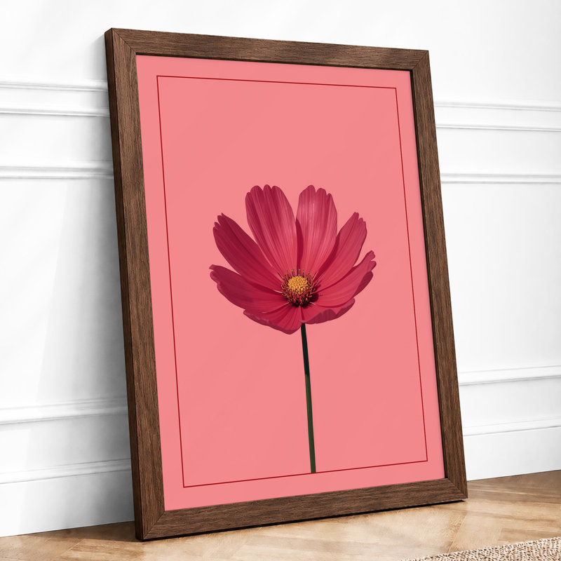 Cosmos Bloom Botanical - Framed Print, A2 - 59.4 x 42.0 cm, Walnut