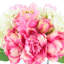 Peonies, Tulips and Hydrangeas in Glass Vase