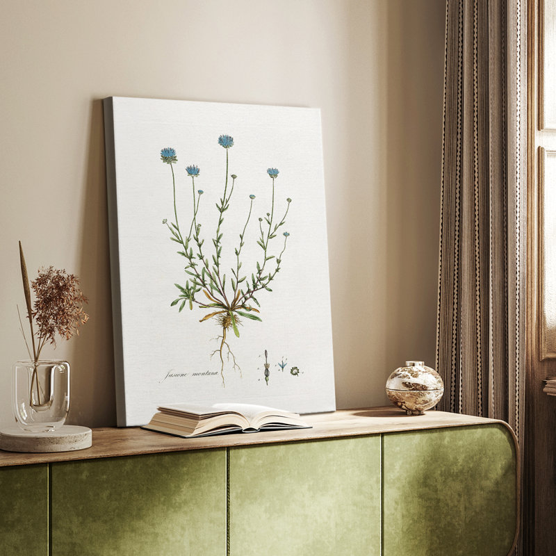 Bellflower Study -Custom Wrapped Gallery Cavas, 18" H x 12" W