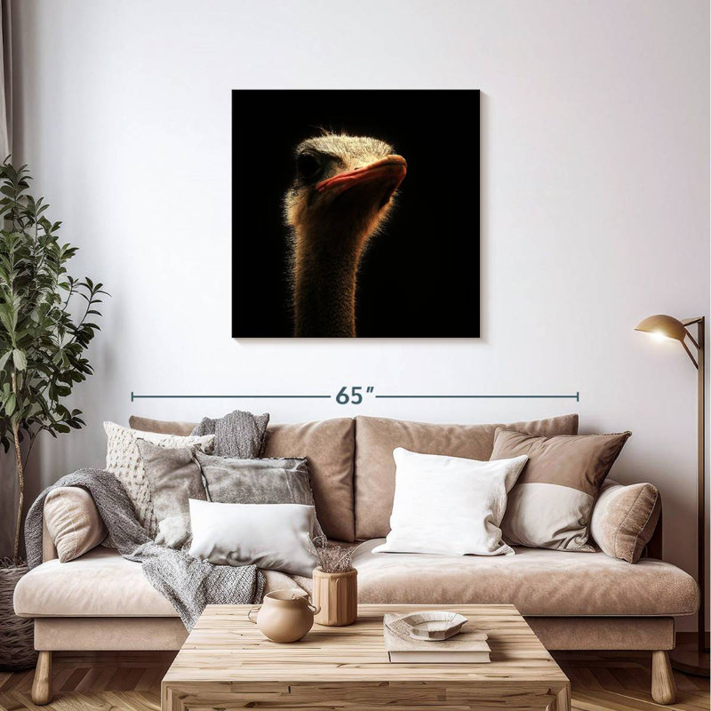Crowle Gallant Ostrich, 36" H x 36" W