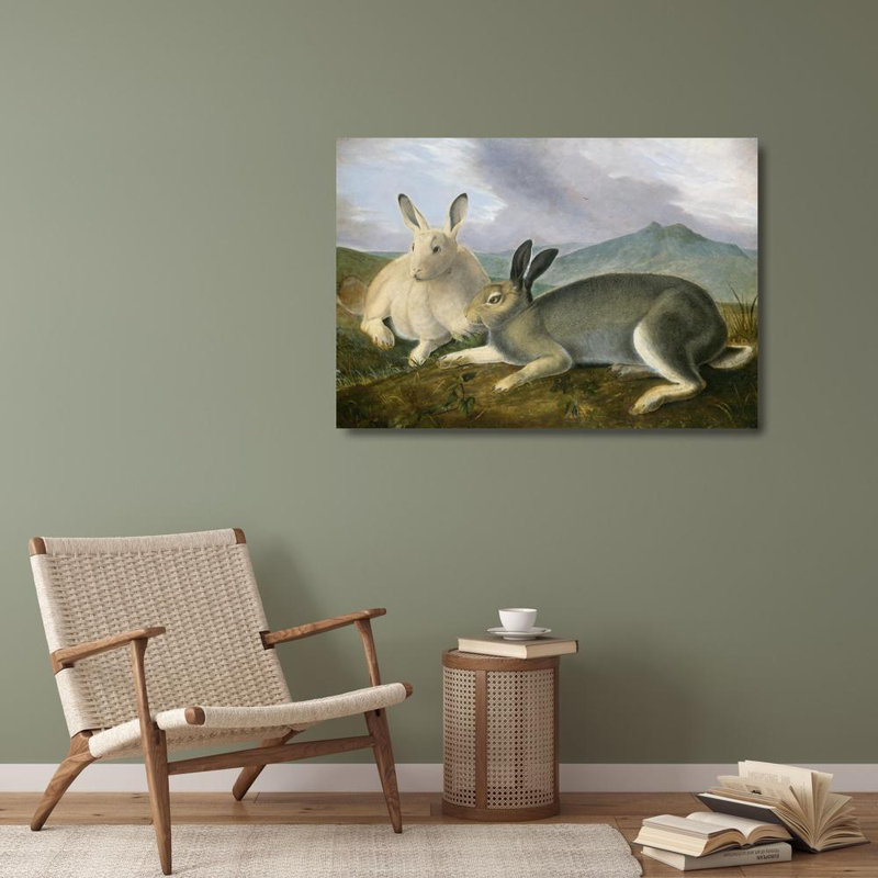 «Arctic Hare» par John James Audubon - Art mural sur toile tendue avec châssis, H 28 po x l 40 po