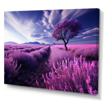 " France Lavender Fields Symphony "