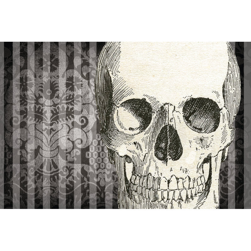 Skull - Wrapped Canvas Print, 30cm H x 46cm W x 3.8cm D