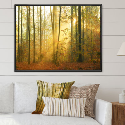 «Autumn Morning Forest», reproduction d'art sur toile traditionnelle