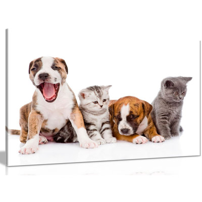 Puppies And Kittens Nursery - Wrapped Canvas Print