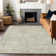 Machine Washable Indoor/Outdoor Xhevrie ACN1723 Linen Rug