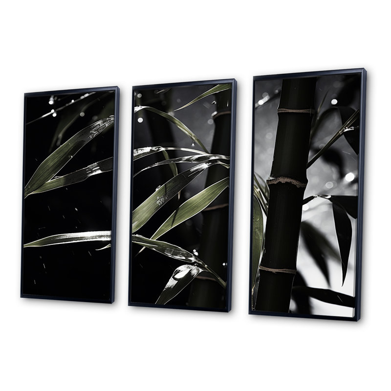 «Black and White Bamboo Photo I», ensemble de reproductions d'art mural en bambou, Cadre flottant noir