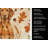 Vizsla Heirloom Fall Kitchen Towel-1218231139