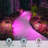 Low Voltage Pathway Lights, Smart LED Landscape Path Light, Adjustable Warm White&RGB, Dimmable