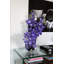 Arrangement floral bois flottant et vanda orchidées à grande lune vase-42124600