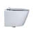 Nebula Dual-Flush Water Elongated Wall-Mount Toilet-39076354