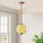 1-Light Novelty Paneled Pumpkin-Shaped Ribbed Glass Kitchen Pendant Light