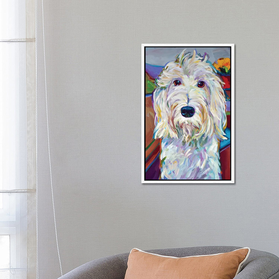 Willy The Schnoodle von Robert Phelps - Gallery-Wrapped Canvas Giclée on Canvas