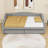 Twin XL Upholstered Daybed with Storage Drawers and LED Light-1435887946