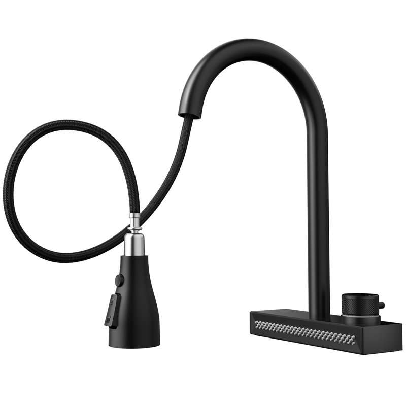 Black 3-function Pull-down Rain Kitchen Faucet