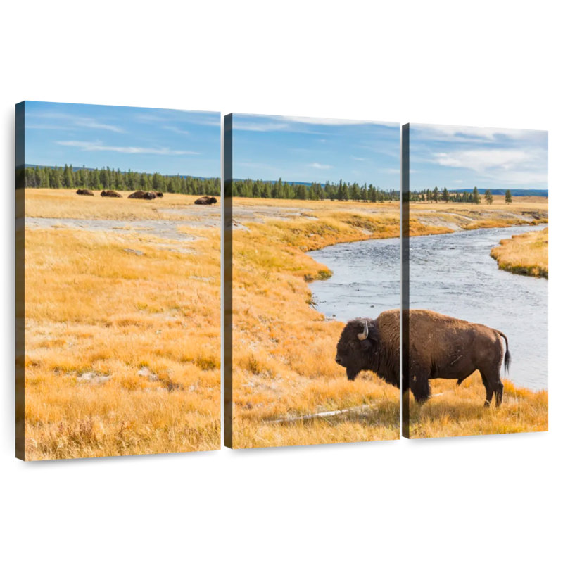 Brampt National Park Bison, 24" H x 38" W