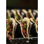 Blackstone 2-Piece Griddle Taco Racks