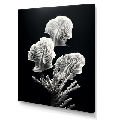 «Black and White Modern Coral Dream - Beach and Ocean, art mural sur toile