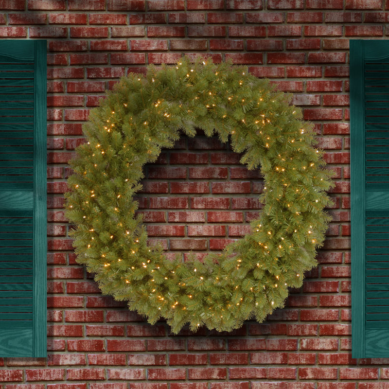 Downswept Douglas Wreath with Warm, 48", Incandescent
