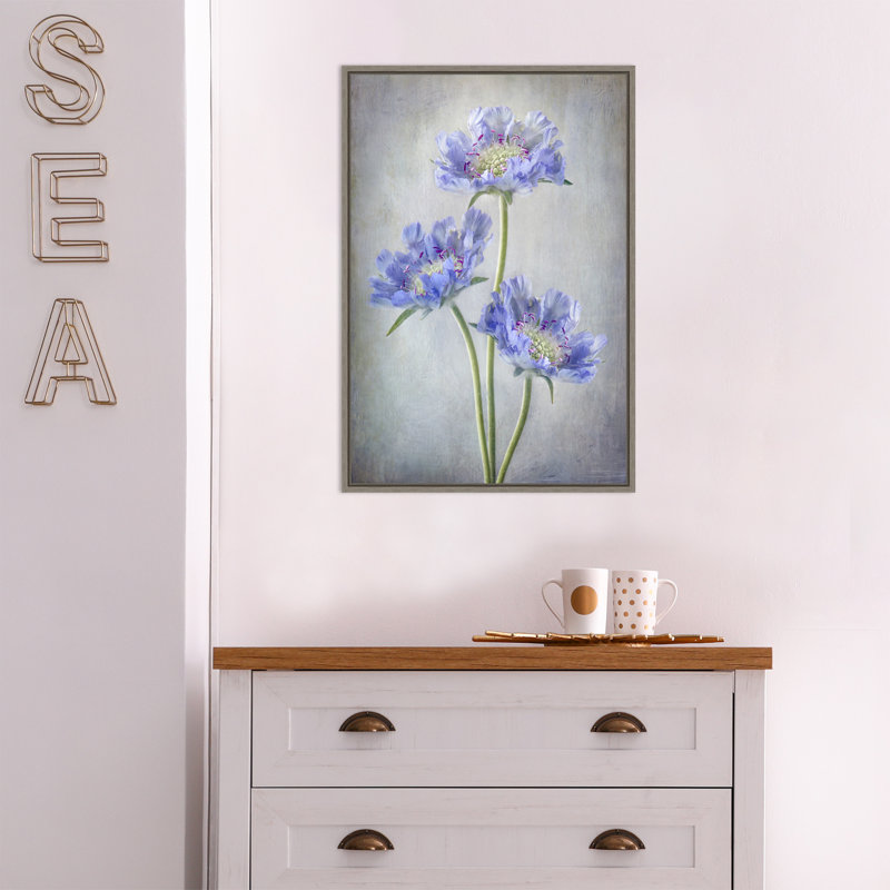 « Scabiosa Purple Flower » par Mandy Disher, reproduction d’art sur toile encadrée