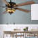 52"W Bianet 5 - Blade Stained Glass Ceiling Fan with Remote Control and Light Kit Included