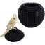 Deco Box Parrot
