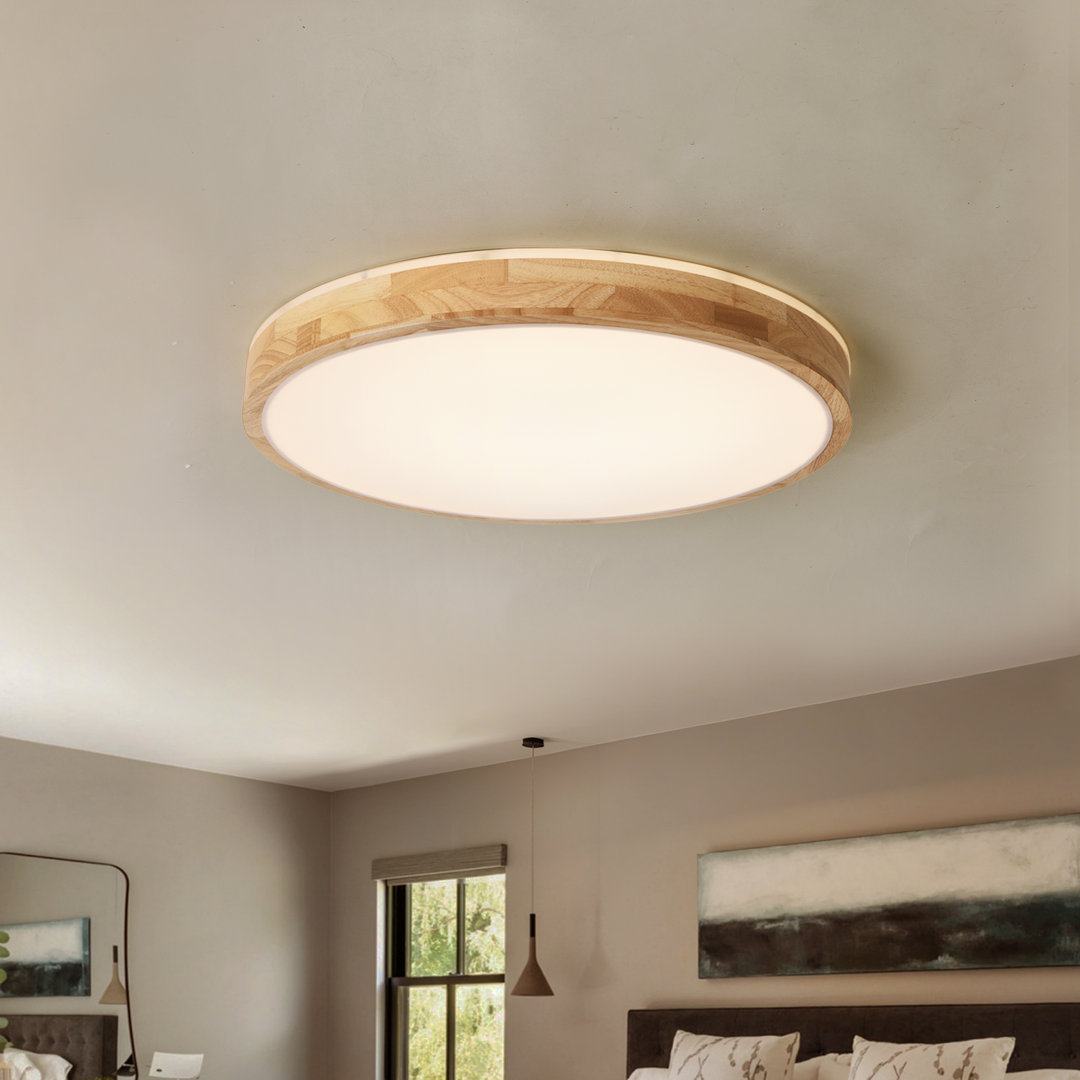 Damiyon 1-Light 30cm Modern Dimmable LED Energy-Saving Ceiling Light Round Flush Mount Lamp